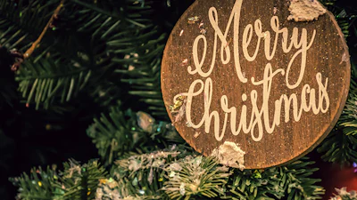 DIY Kerstboomalarm - Kerstboom vraagt zelf om water