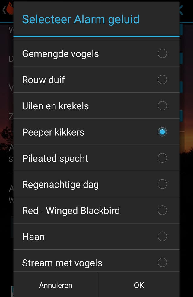 Media has no description