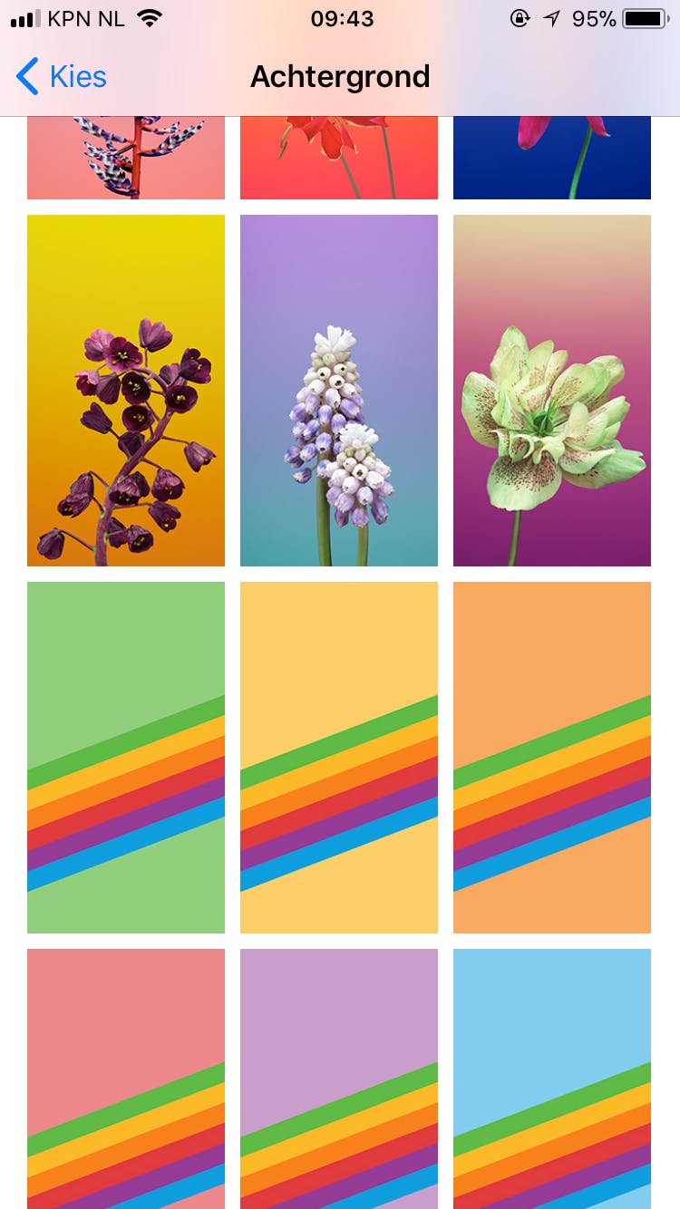 Media has no description