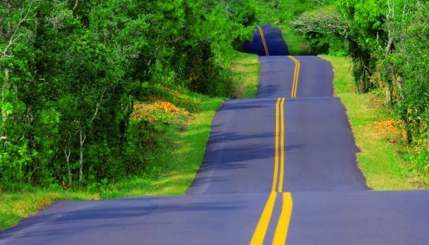 De 5 beste apps voor je road trip