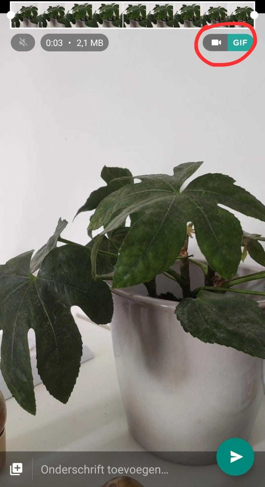 Gifje maken op Whatsapp