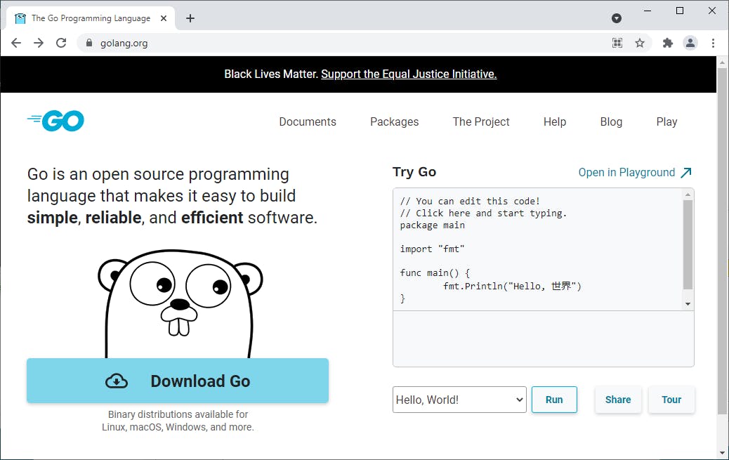 In deze workshop maken we een voorbeeldprogramma in de programmeertaal Go.