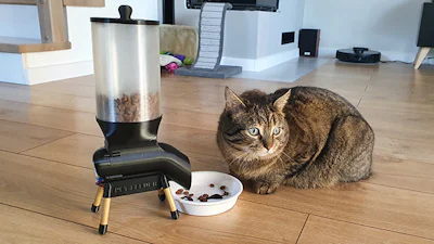 Poolse ingenieur bouwt eigen slimme voerbak voor kat
