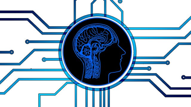 Computer aansturen met hersenen: Alles over IBC's