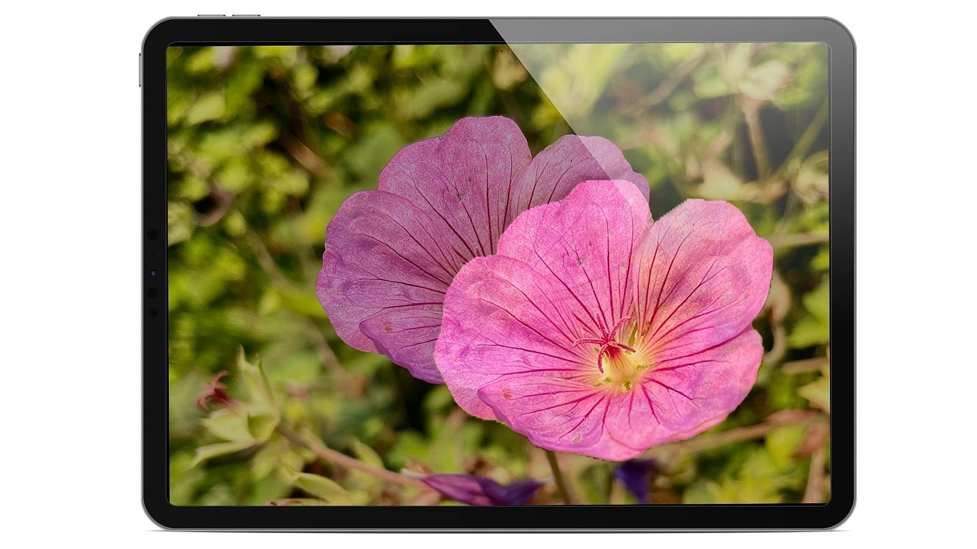 iPad object uitsnijden met iPadOS 16