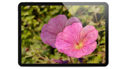 Automatisch objecten uitsnijden in foto’s met iOS (en iPadOS) 16