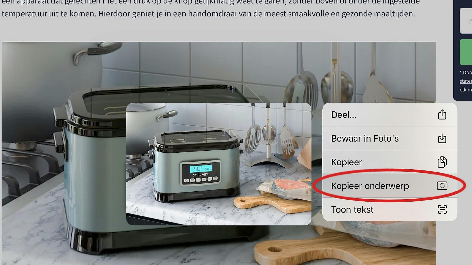 Object rechtstreeks uit foto op website plukken in Safari, onder iOS 16 of iPadOS 16