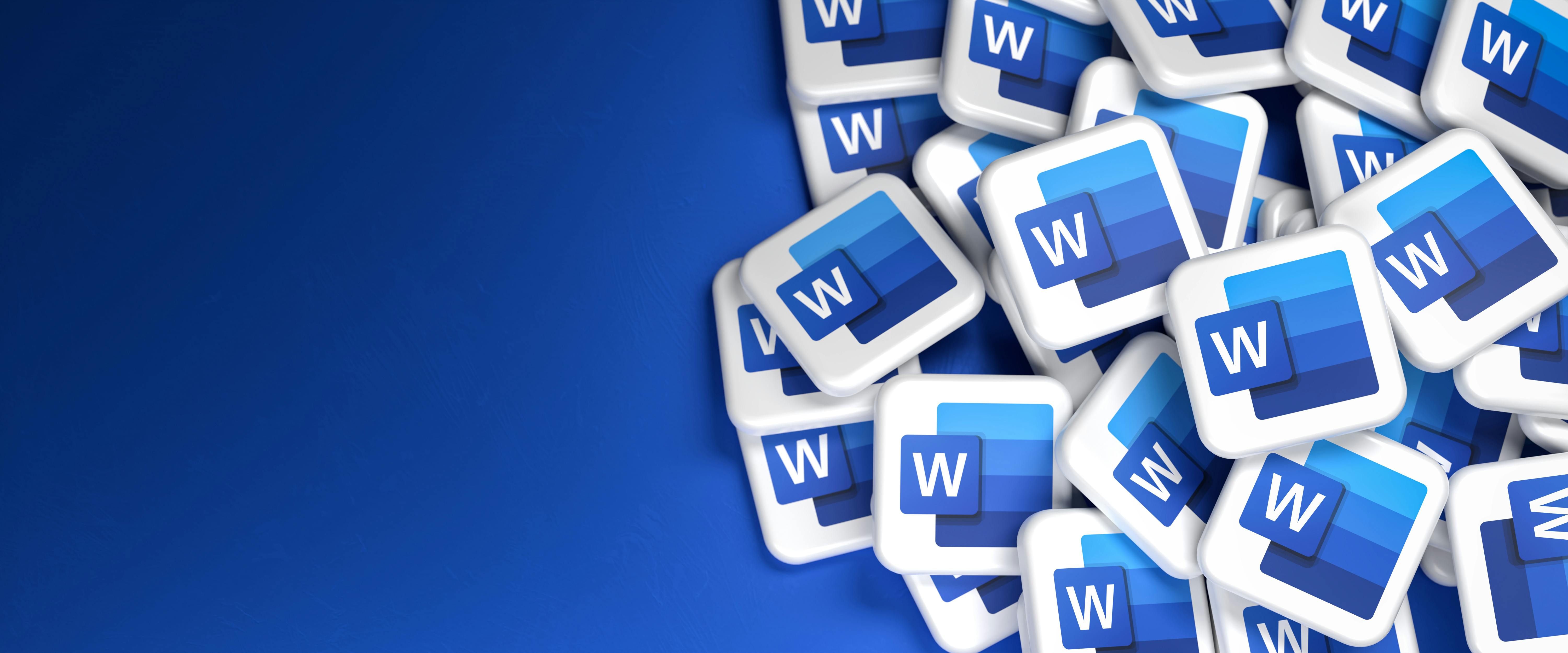 Microsoft Word