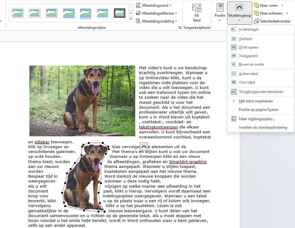 Achtergrond verwijderen en teruglooppunten bewerken.