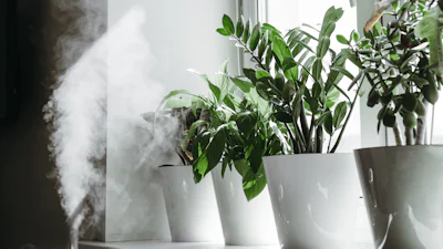 Geen ontvochtiger? 8 slimme manieren om toch vocht tegen te gaan