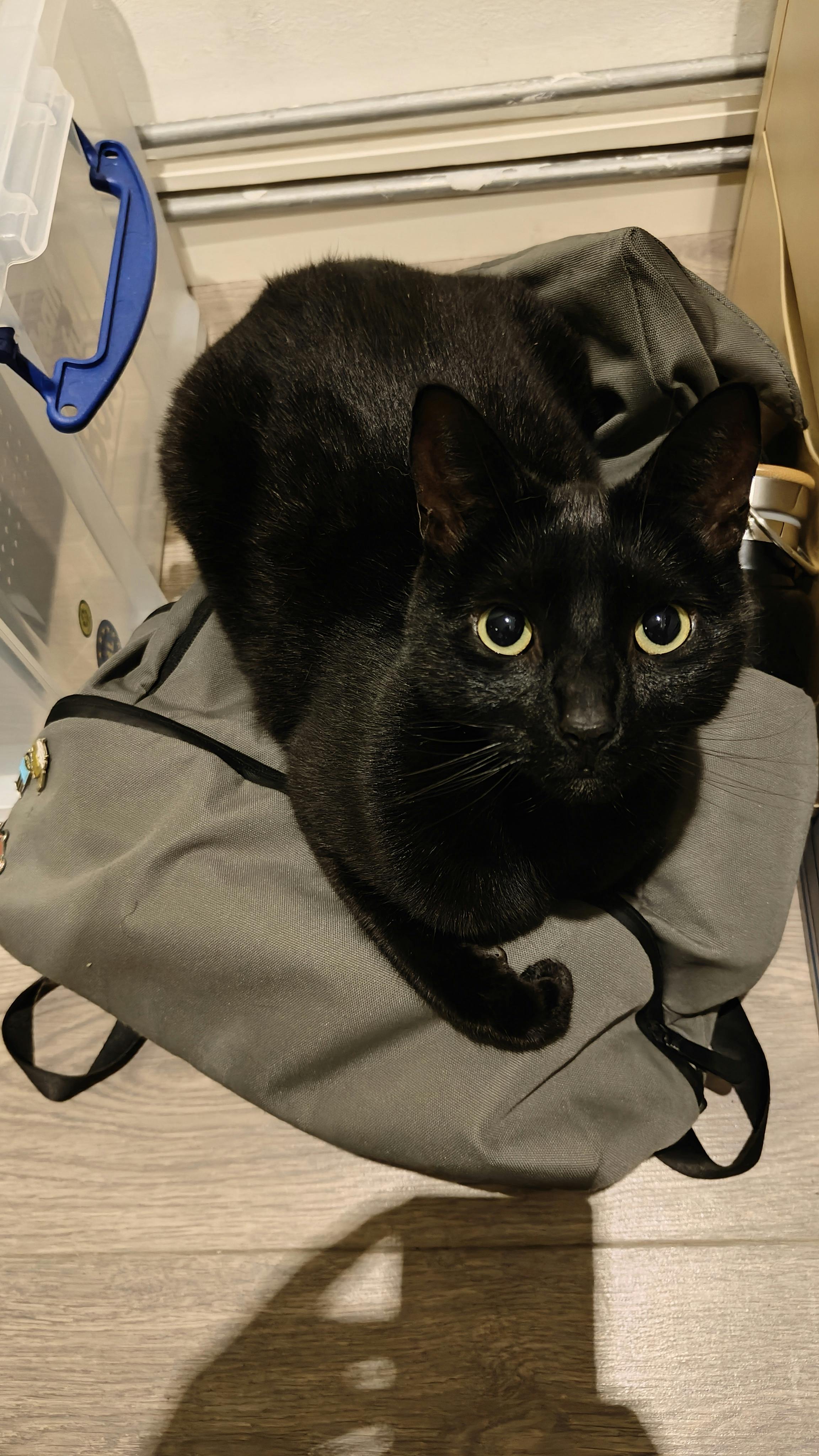 Genoeg licht voorhanden? Dan blijft nog best veel detail zichtbaar.