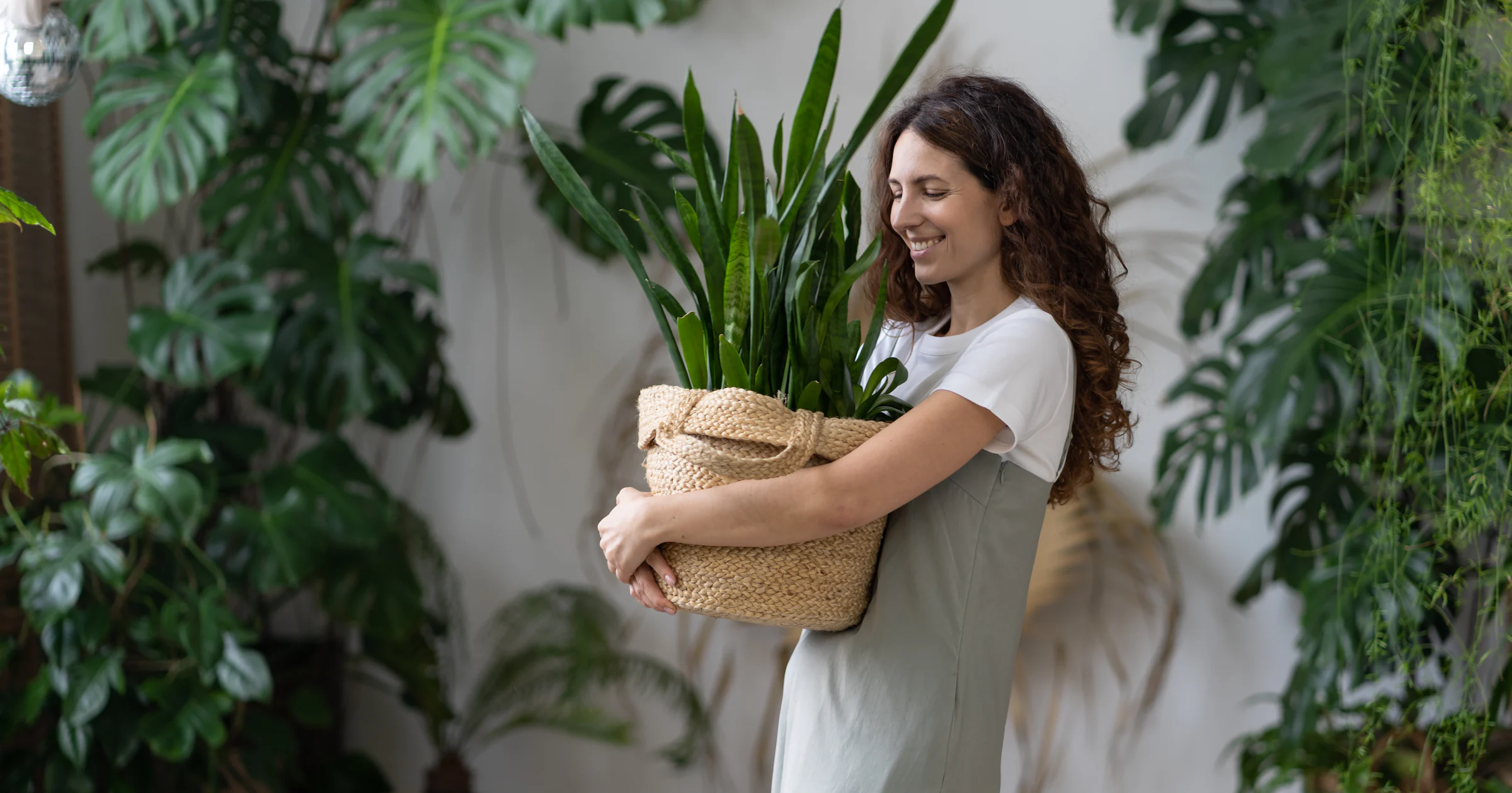 Deze kamerplanten zijn goed voor je gezondheid