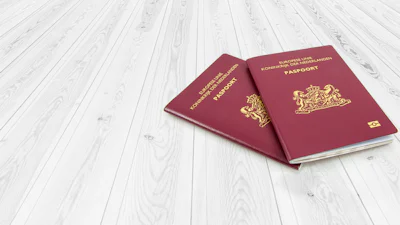 Zo kun je je paspoort scannen in de DigiD-app