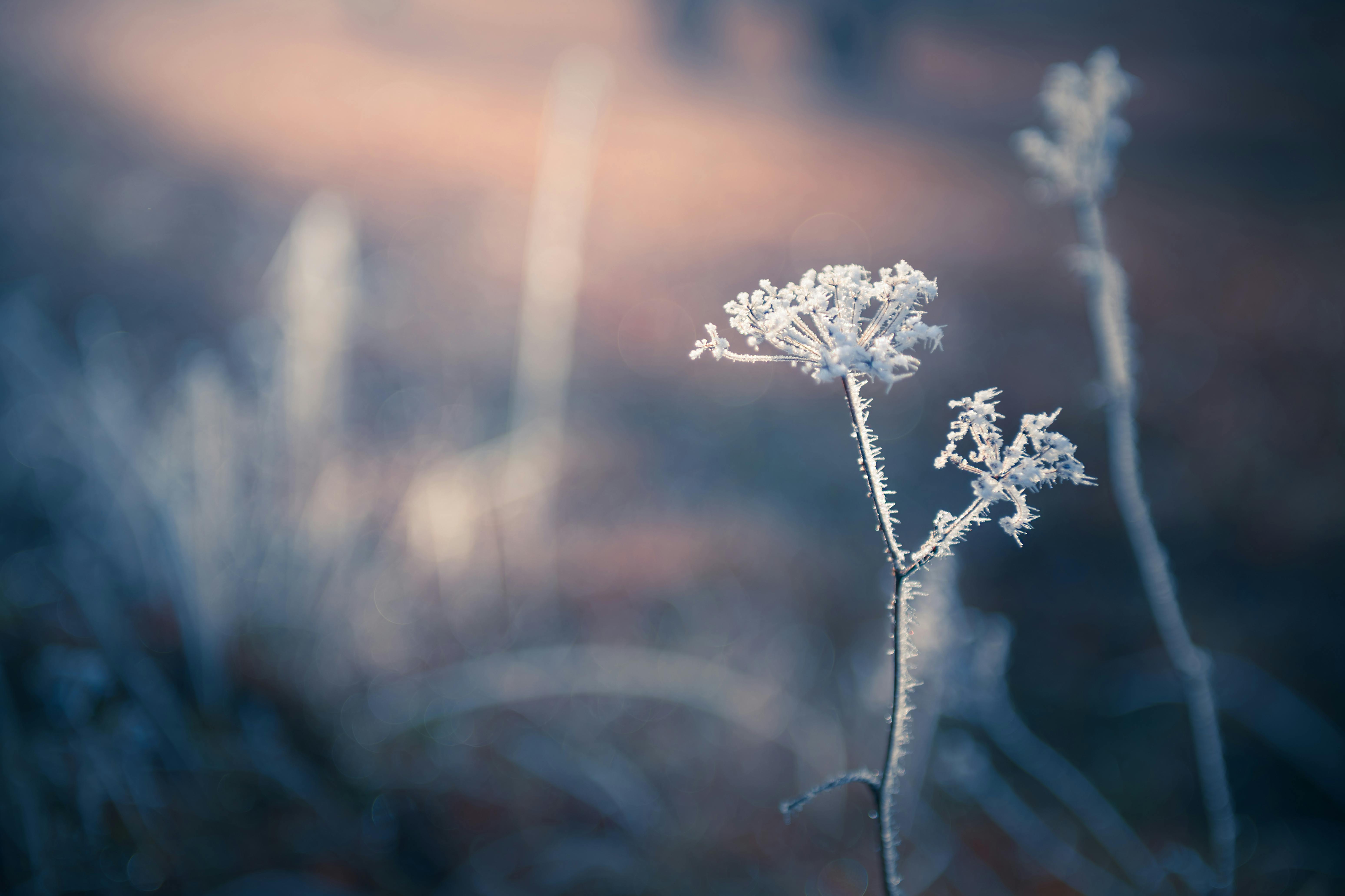 5 tips voor fotograferen in de kou
