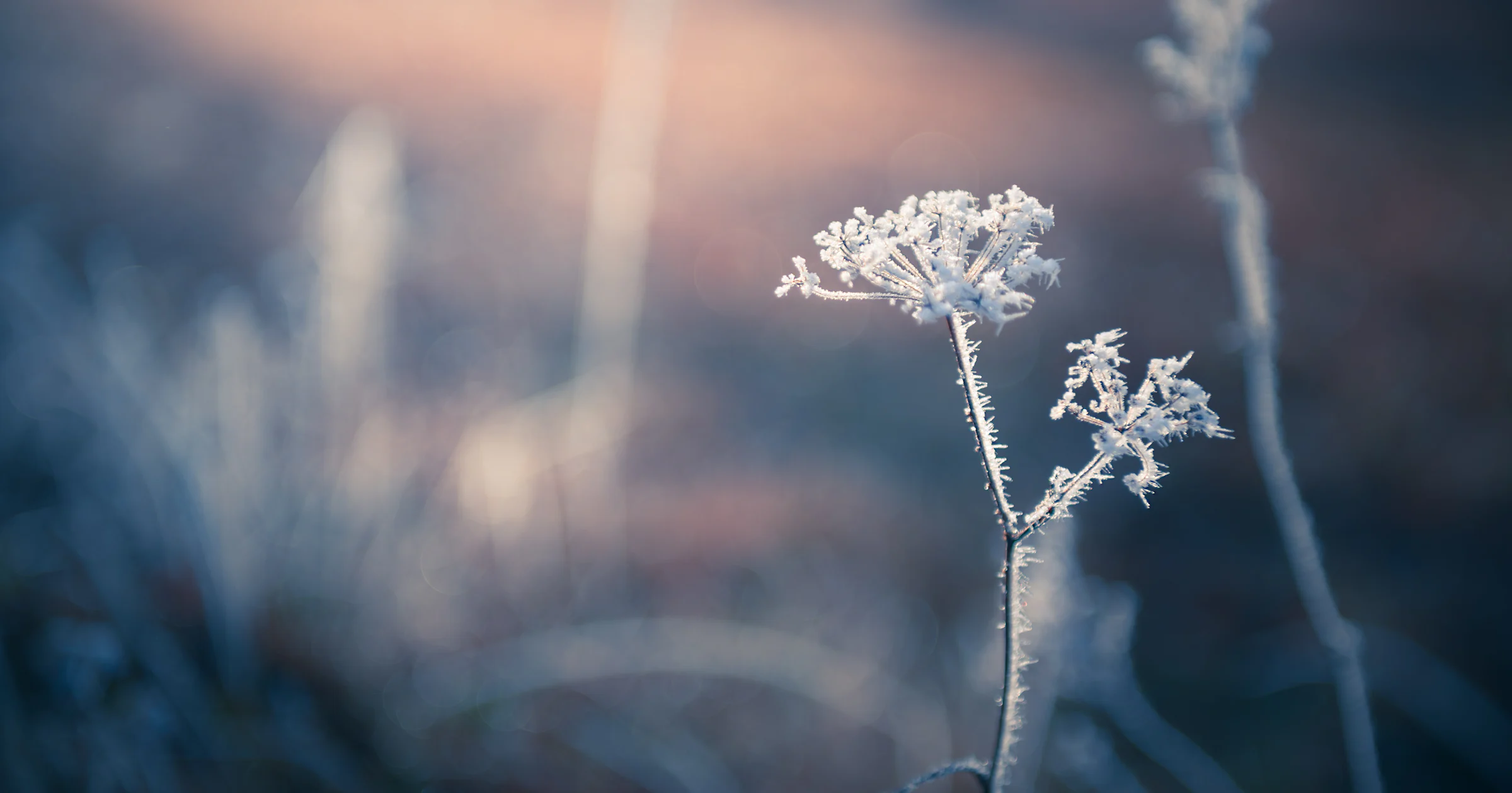 5 tips voor fotograferen in de kou