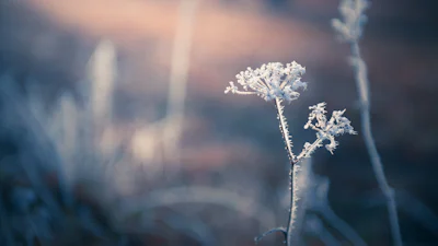 5 tips voor fotograferen in de kou