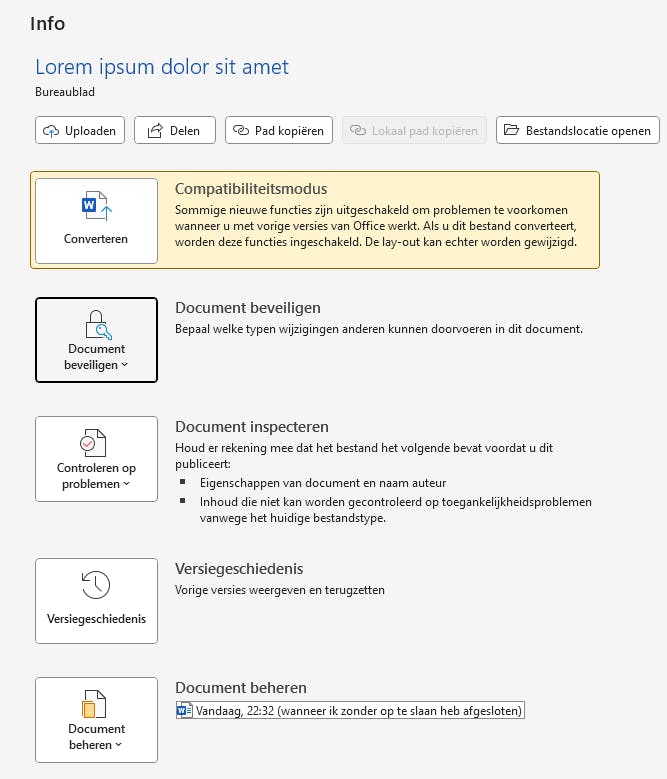 Kies Document beveiligen uit de opdracht Info.