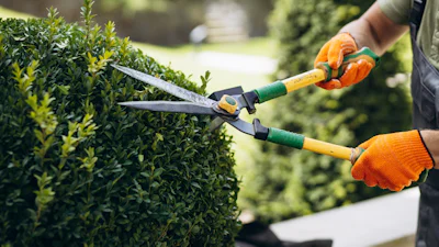 Basis-tuingereedschap dat je écht nodig hebt