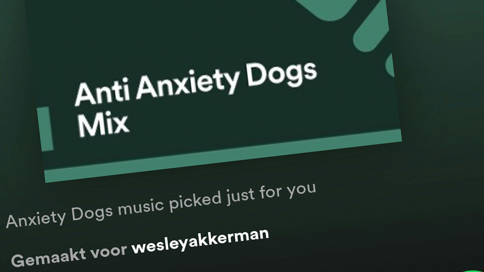 Nieuw in Spotify: altijd een playlist die precies past bij hoe jij je voelt