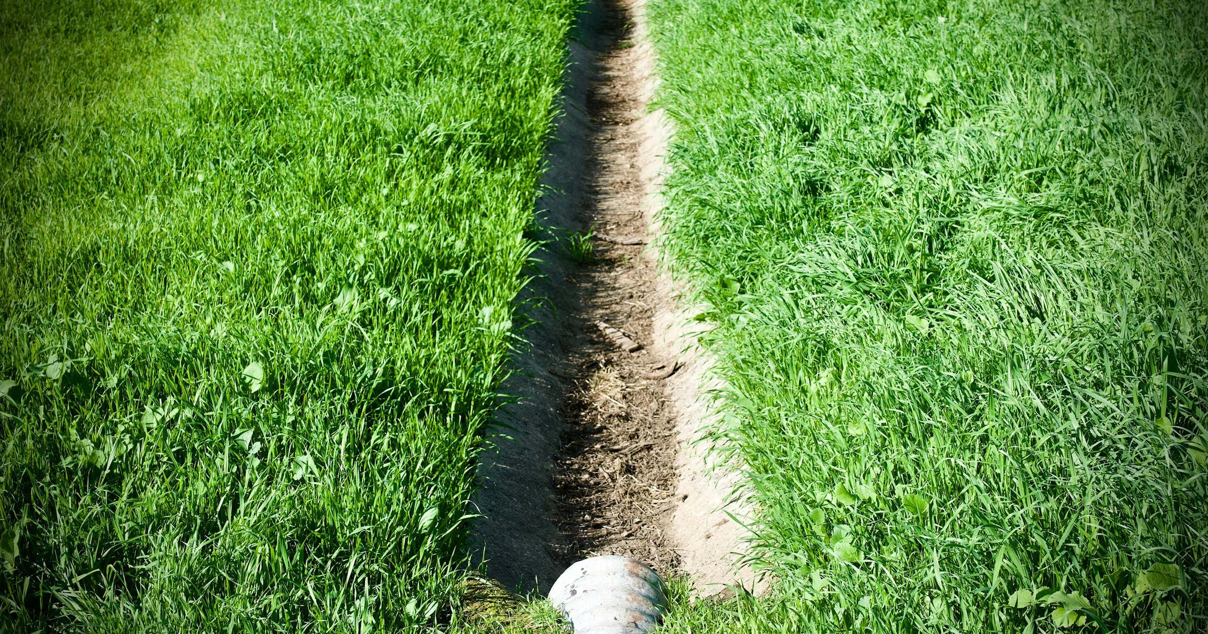 Het belang van goede tuindrainage: zo voorkom je wateroverlast