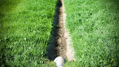 Het belang van goede tuindrainage: zo voorkom je wateroverlast