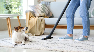 Je kleed weer als nieuw: zo kun je het best een vloerkleed schoonmaken