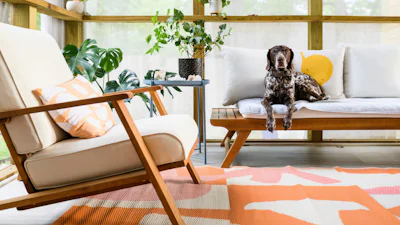 Een beestenboel bij jou? Zo blijft je huis schoon met huisdieren