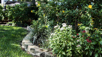 Welke planten zijn het meest geschikt voor een tuin met veel schaduw?