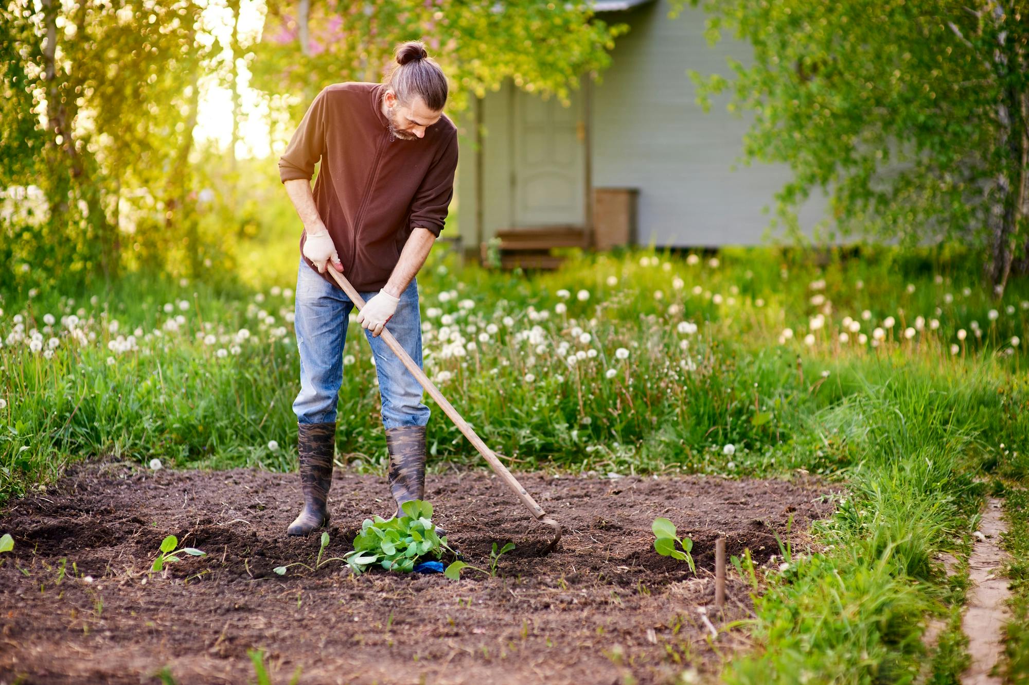 Man is aan het schoffelen in zijn tuin
