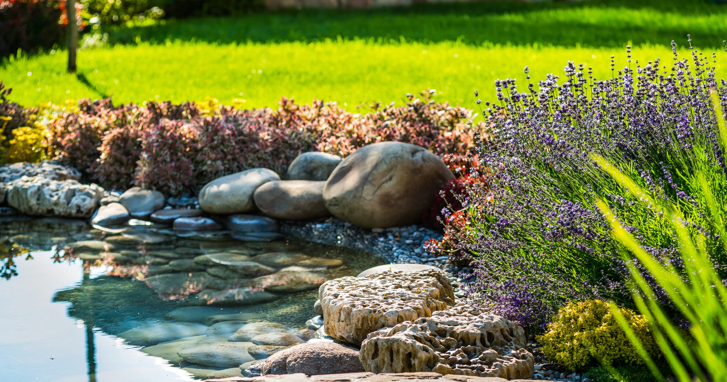 Vijver in de tuin aanleggen: wat komt er allemaal bij kijken?