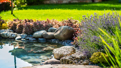 Vijver in de tuin aanleggen: wat komt er allemaal bij kijken?