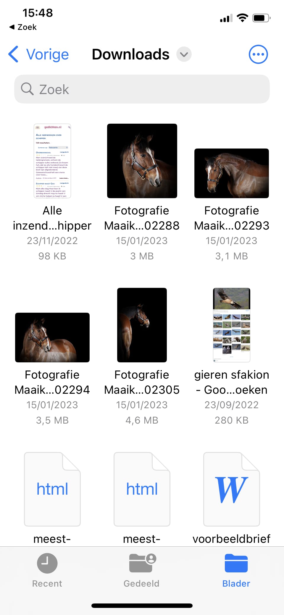 In de map Downloads op je iCloud Drive komen alle gedownloade bestanden.