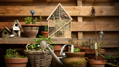 DIY: zo bouw je zelf een insectenhuisje