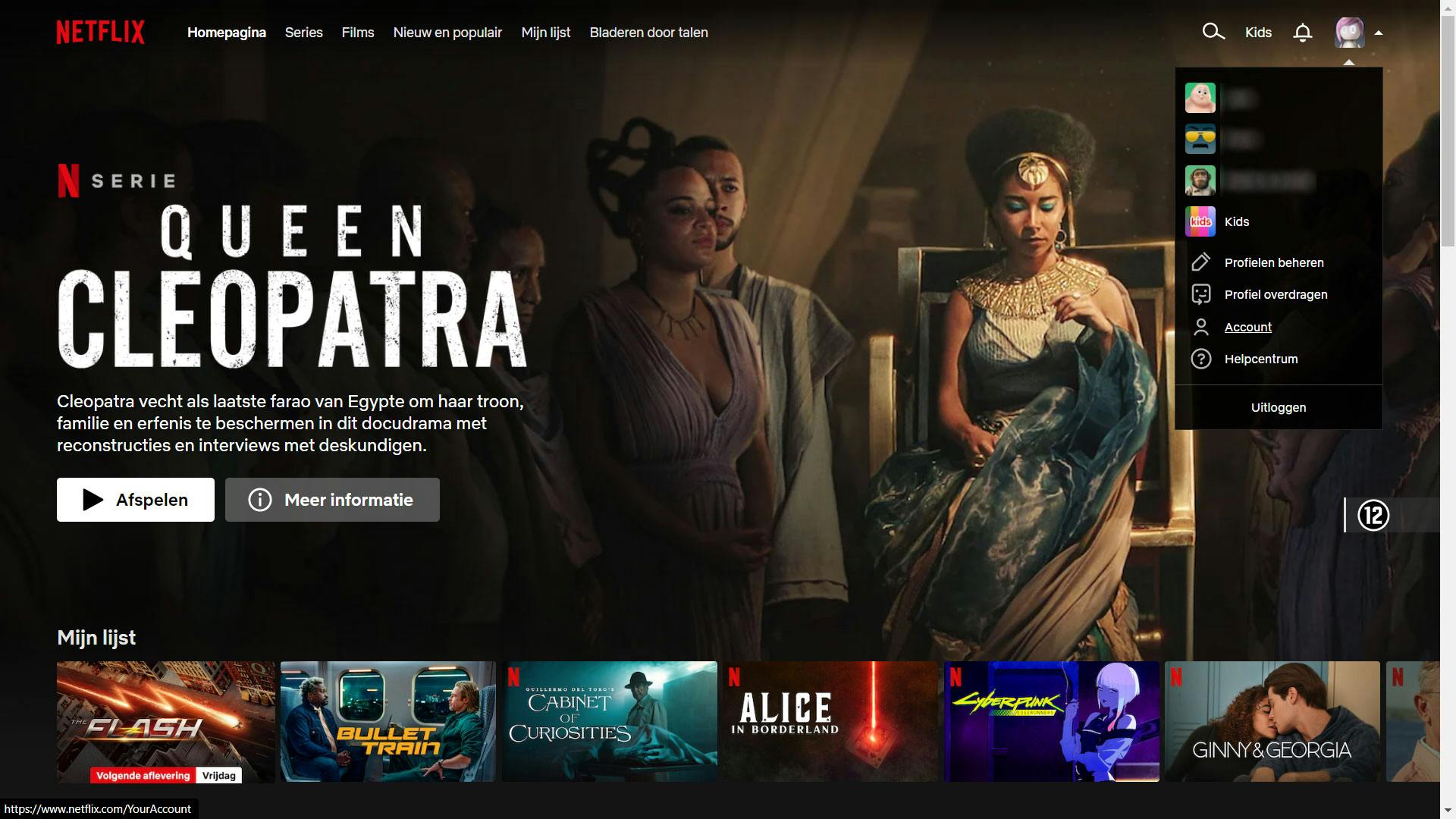 Dit is profieloverdracht op Netflix en zo schakel je het uit