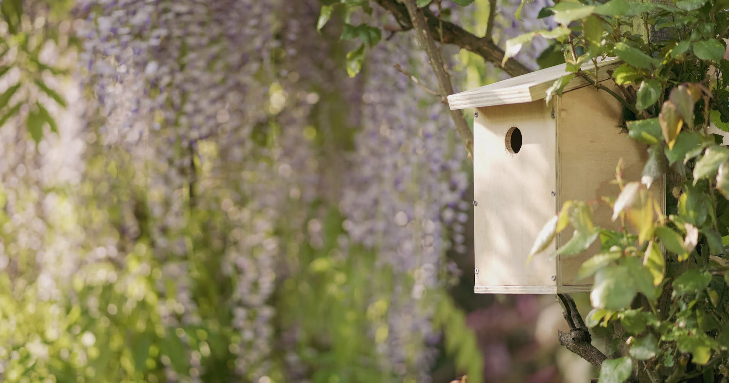 DIY: maak een vogelhuisje voor de tuin in 7 stappen