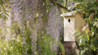 DIY: maak een vogelhuisje voor de tuin in 7 stappen