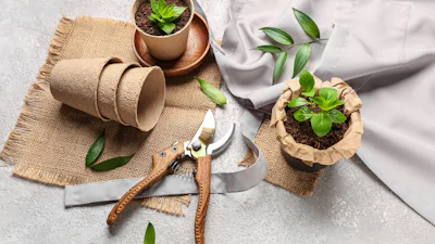 Welke snoeischaar voor welke snoeiklus?