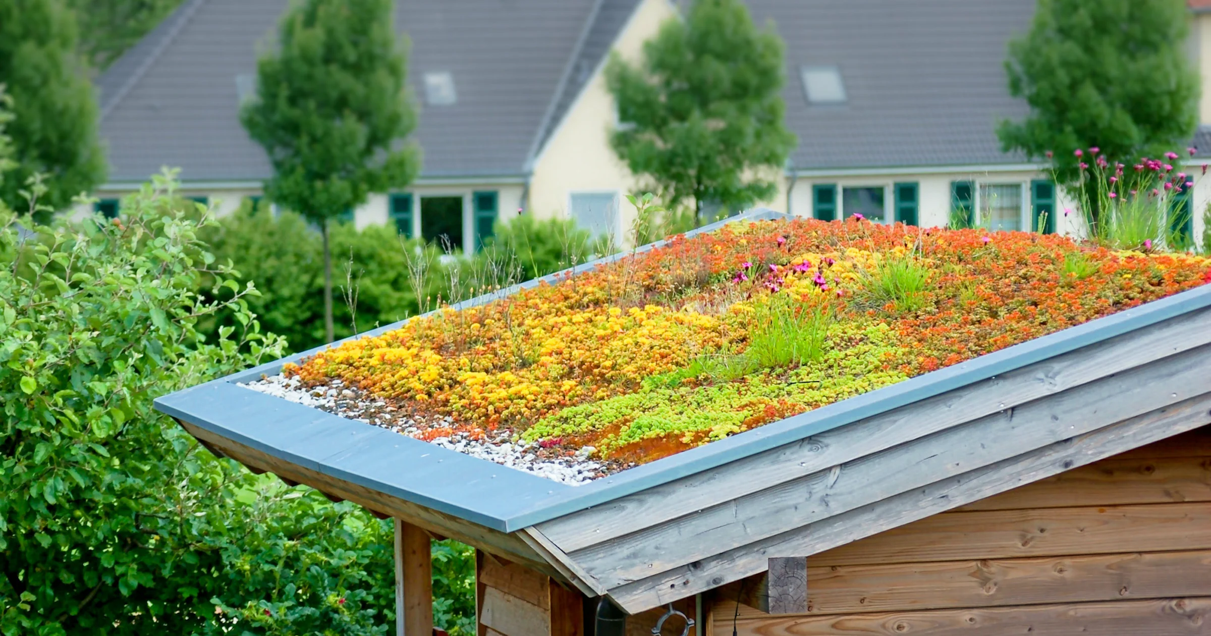 Stappenplan: In 4 stappen subsidie op je groendak geregeld!