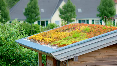 De onverwachte voordelen van een groen dak