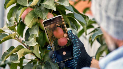 Tuinieren 2.0: gratis tuinapps voor een mooie (moes)tuin