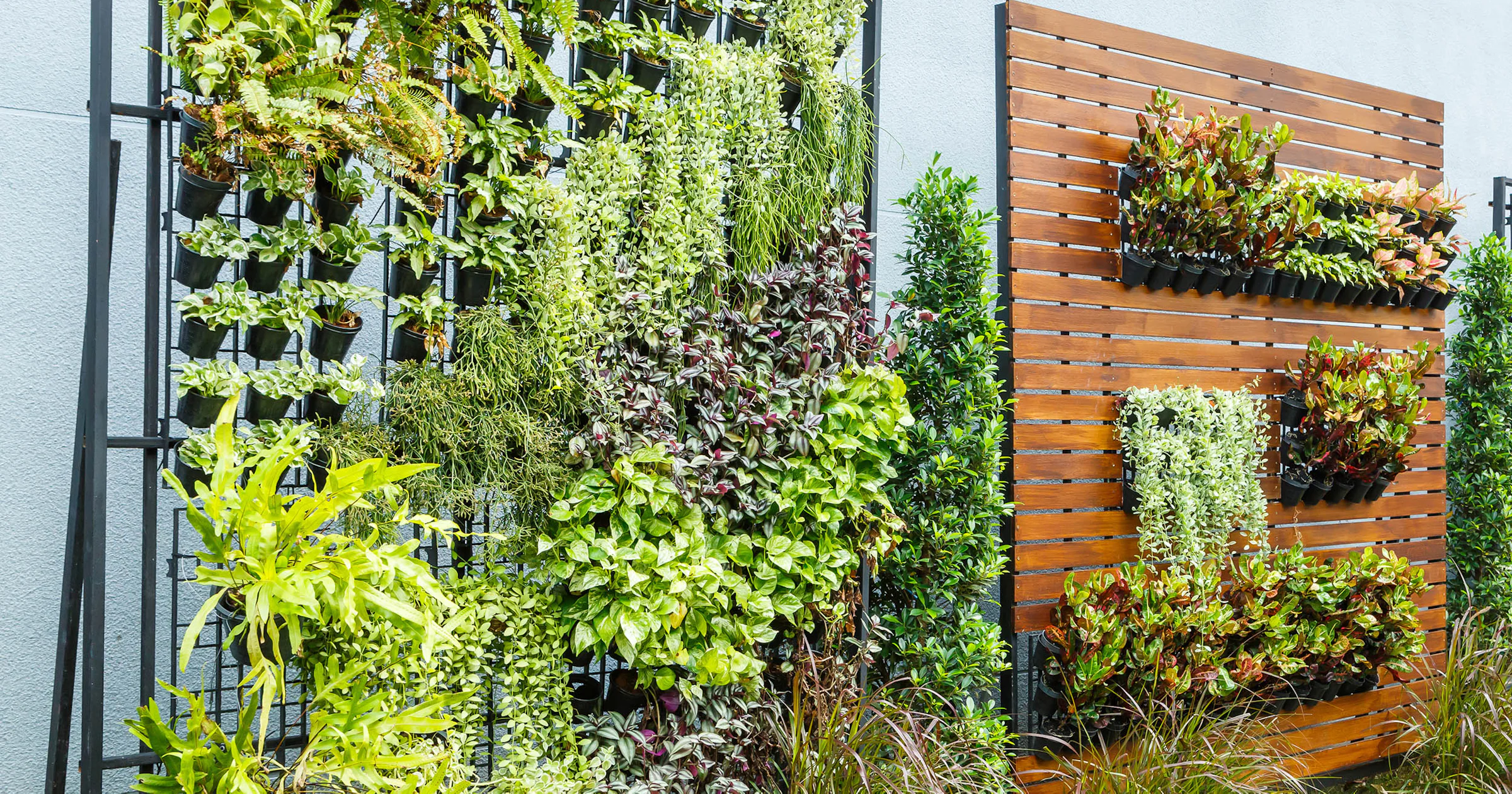 Verticaal tuinieren: zo maak je een groene wand