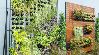 Verticaal tuinieren: zo maak je een groene wand