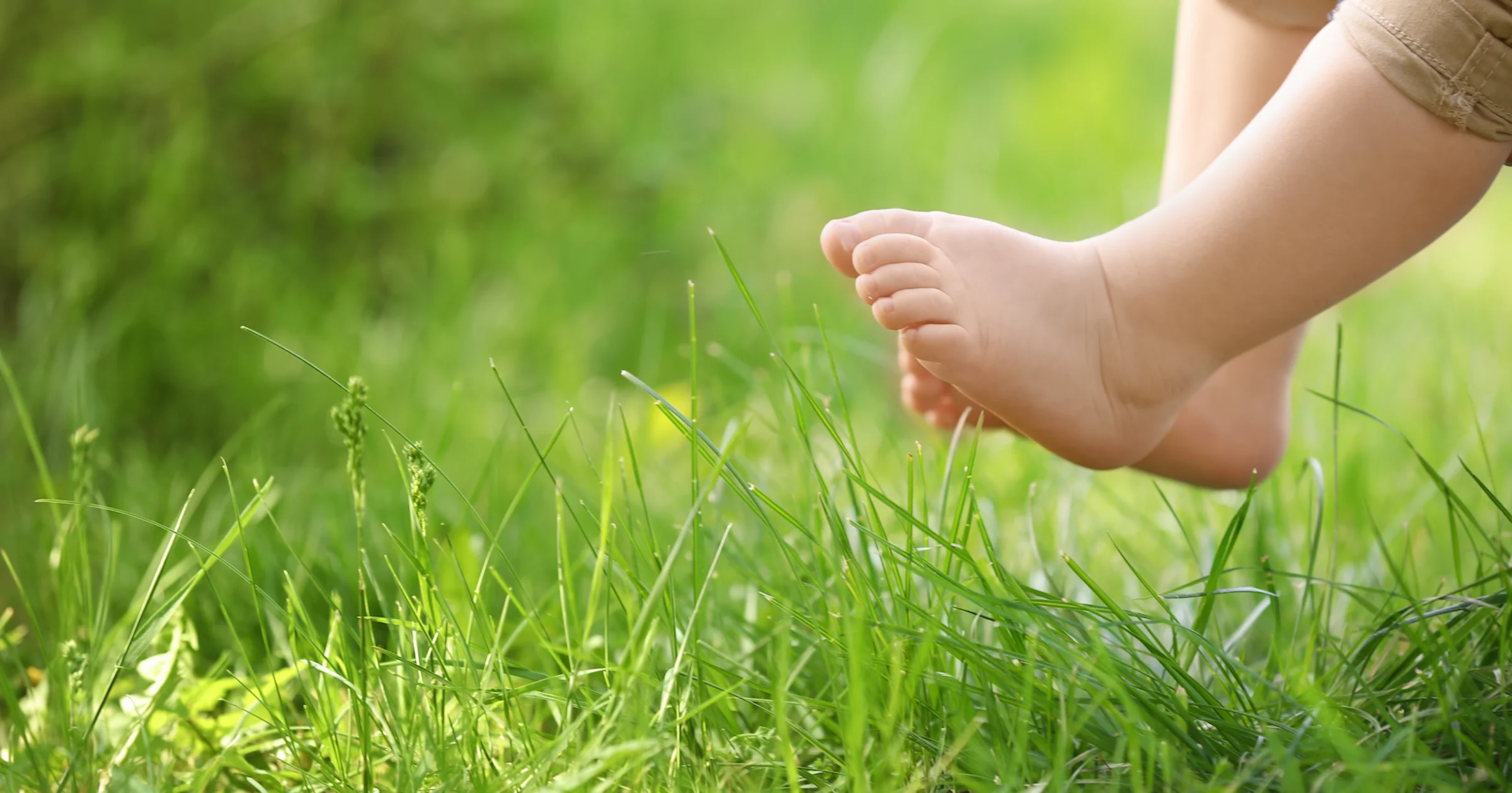 Van speelgazon tot schaduwtuin: zo kies je de juiste grassoort