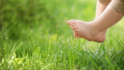 Van speelgazon tot schaduwtuin: zo kies je de juiste grassoort