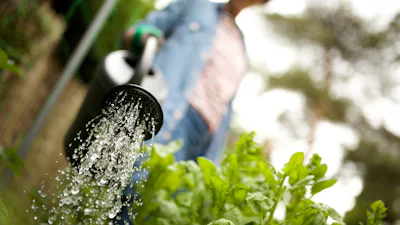 Groen tuinieren: 10 x waterbesparende tips voor de tuin