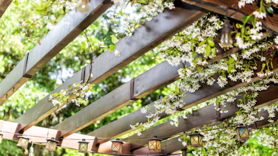 Een pergola in de tuin? Die bouw je gewoon zelf!