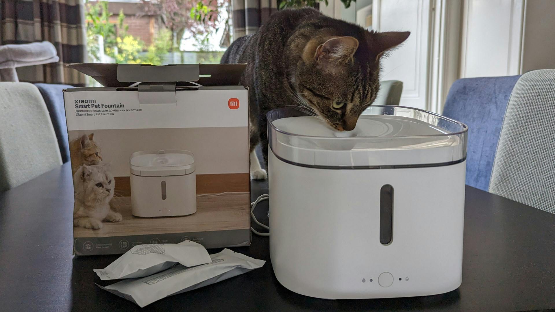 Het in elkaar zetten van de drinkfontein was erg eenvoudig, ondanks de doorlopende interesse van mijn testpanel.