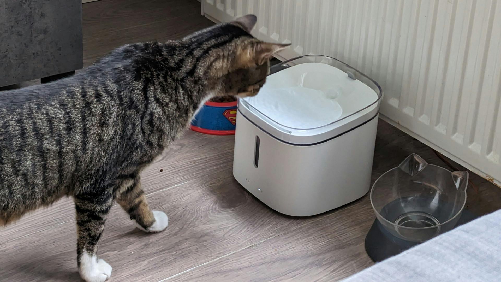 Uiteindelijk kreeg de drinkfontein absolute goedkeuring.