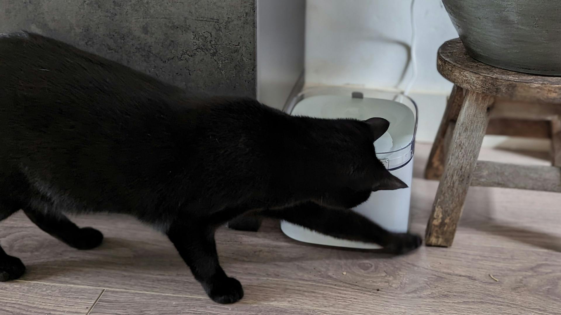 Blijkbaar was er wel een kleine leercurve voor één van de twee testkandidaten.