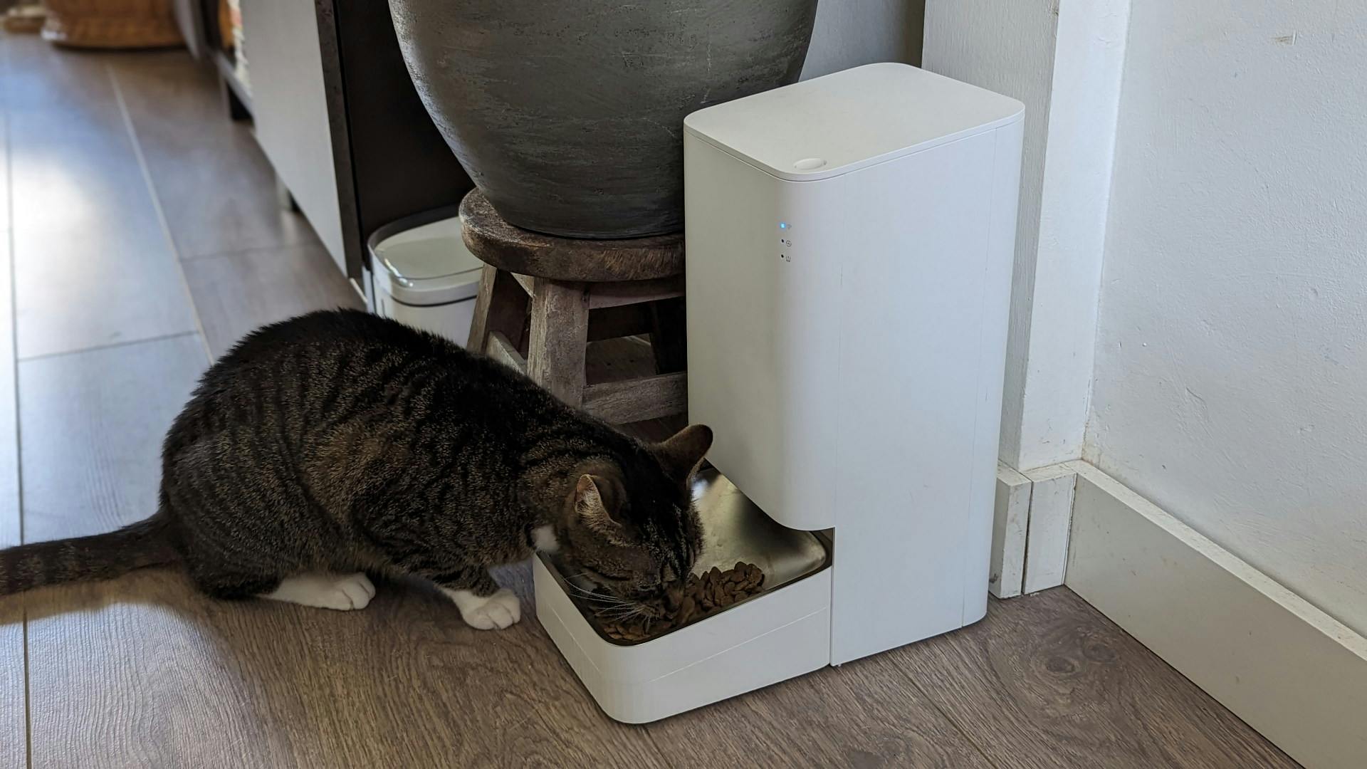 Krokant of niet, de brokjes bevallen altijd.